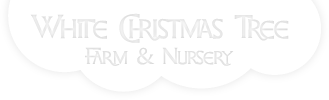 White Christmas Tree Farm & Nursery